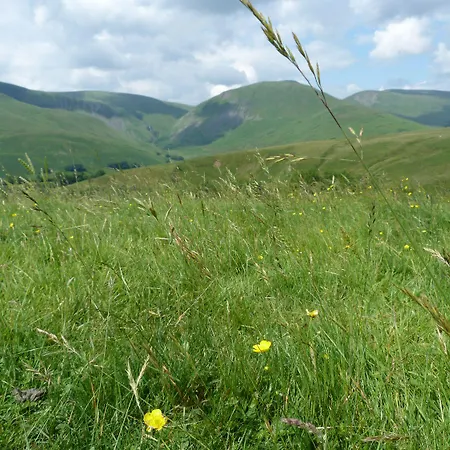 Bramble * Sedbergh